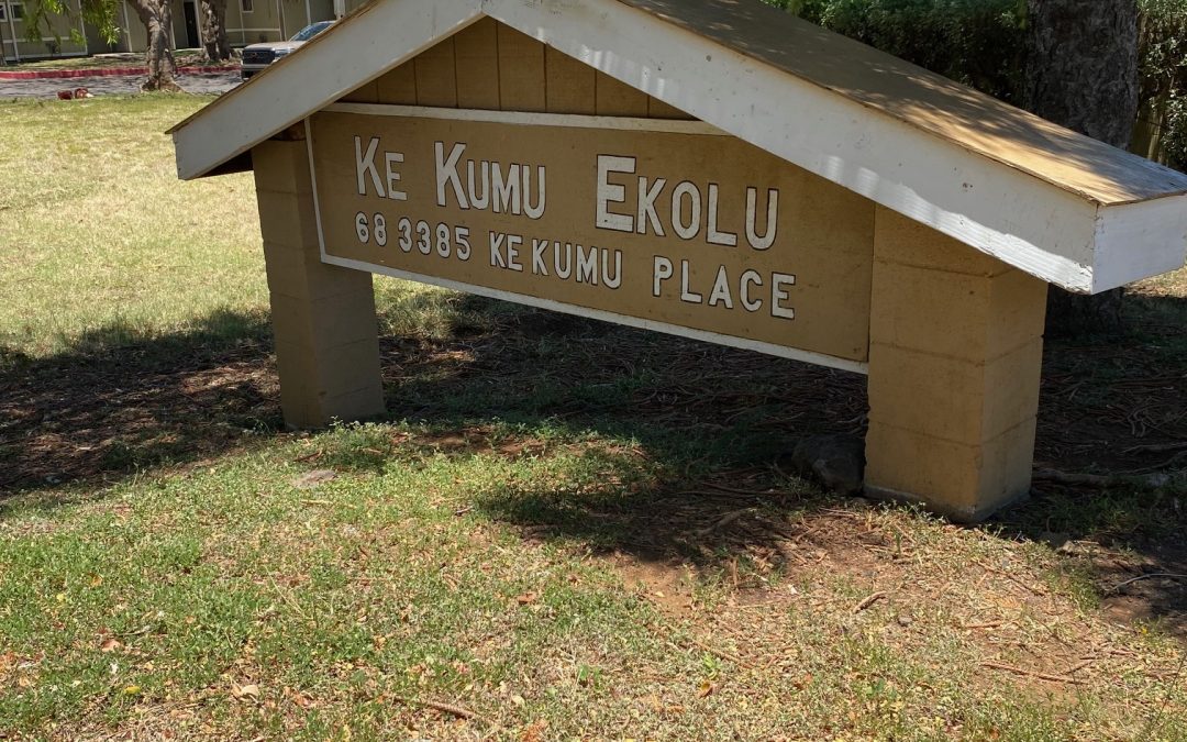 Ke Kumu Ekolu (Area 46)