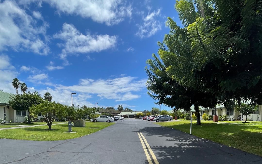 Why is My HECO Bill So High? (And 5 Ways Renters Can Lower It)