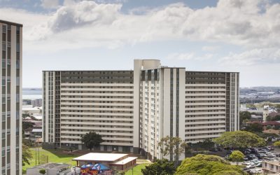 HAPI in the Community: Our Partnerships with Local Non-Profits and Charities